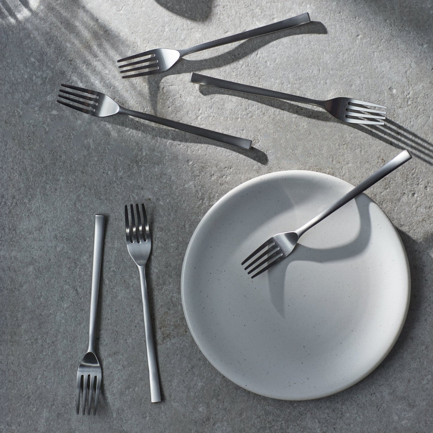 6 Piece Dessert Fork Set